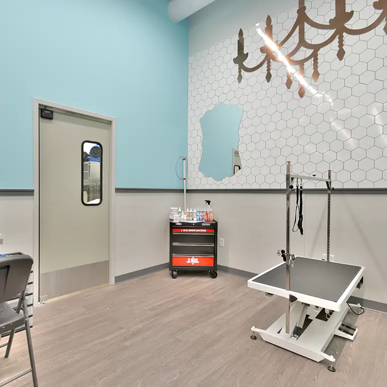 A grooming station with a white grooming table, supply cart, wall mirror, and hexagonal tile decor on the wall.